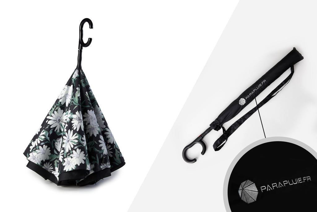 Daisy Life (Ref1611)