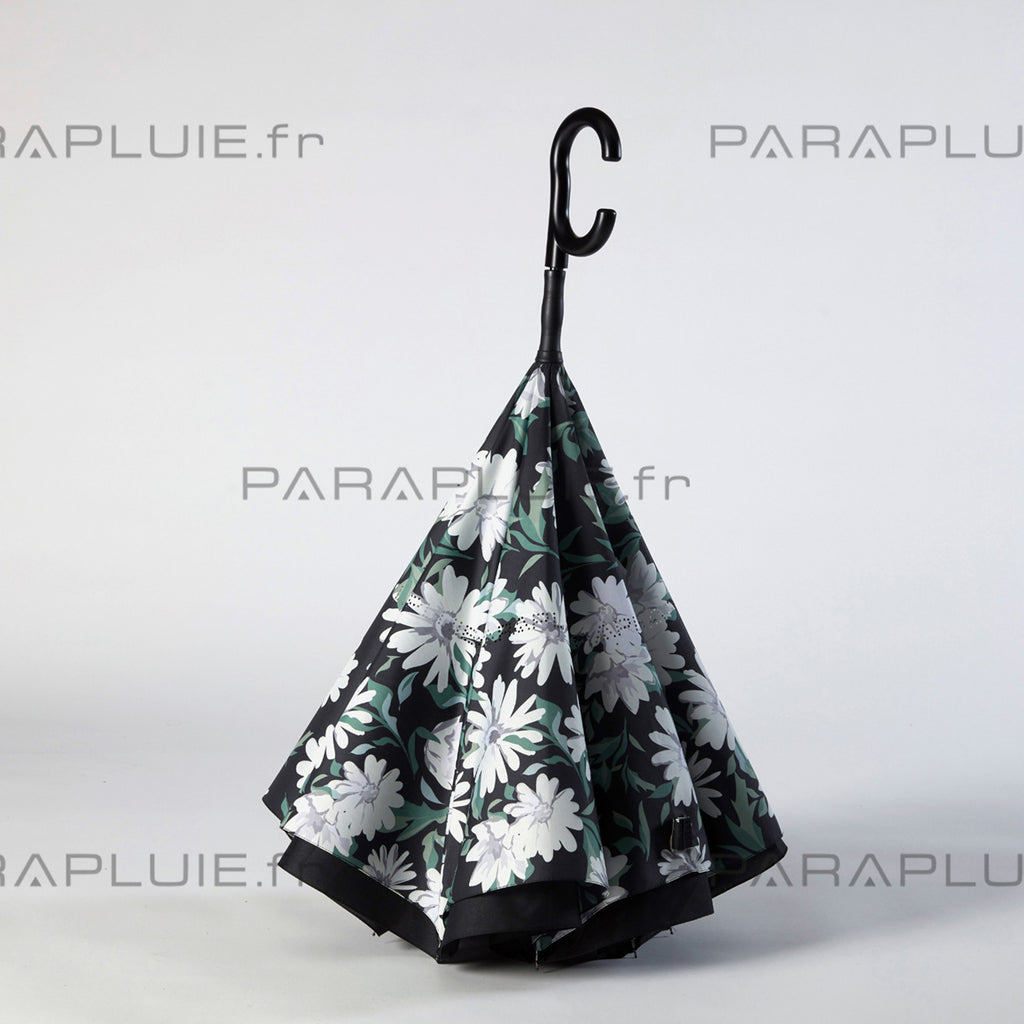 Daisy Life (Ref1611)